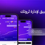 ملاءة المالية